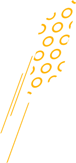 Data Projekt • Forme abstraite jaune