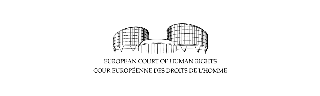 Cour Européenne des Droits de l'Homme, clients de l'agence digitale Data Projekt